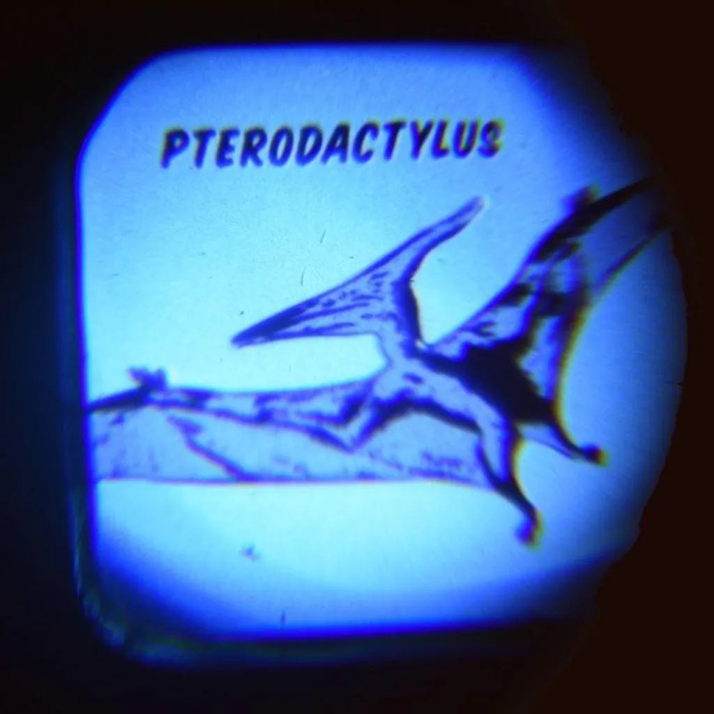 Projektor-Taschenlampe, Dinosaurier, Rex London