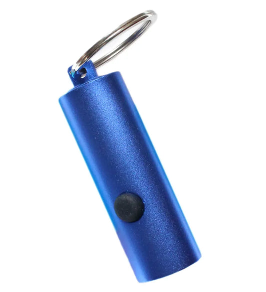  Schlüsselanhänger Blaue LED Taschenlampe Mit Schlüsselring