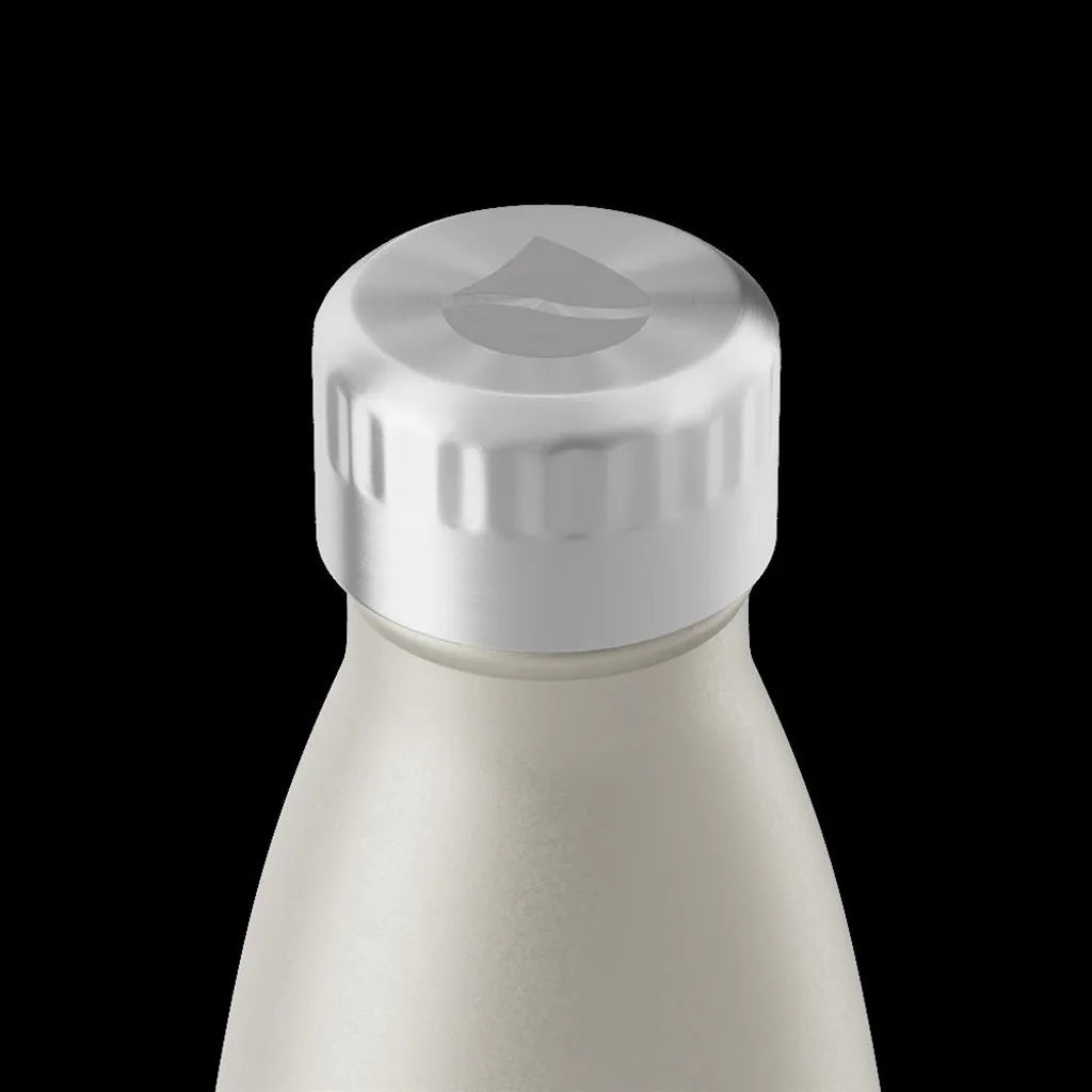  FLSK Isolierflasche 'Champagne 500 Ml - Silbergold'