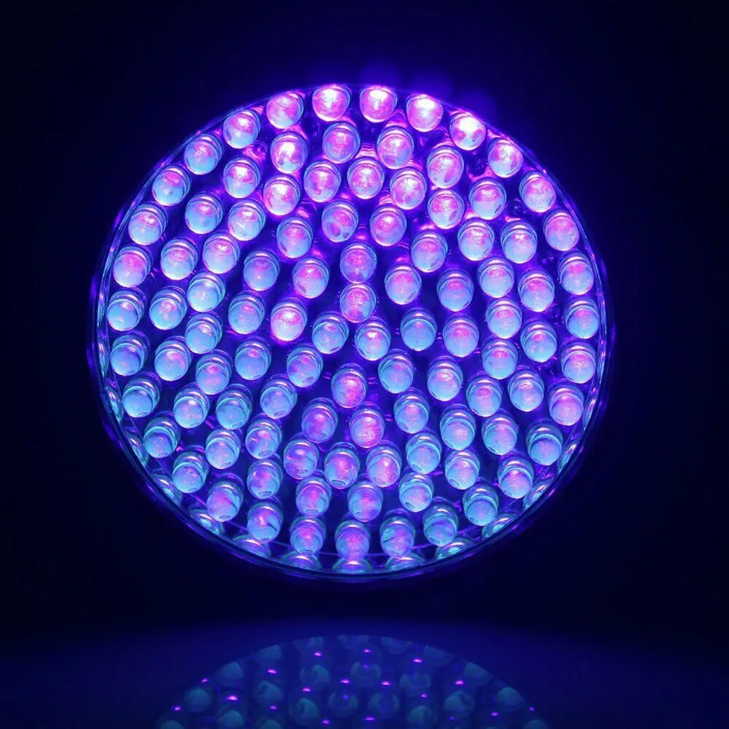  UV Lampe 100 LED Taschenlampe Scorpion Bernstein Schwarzlicht Handlampe UV Taschenlampe
