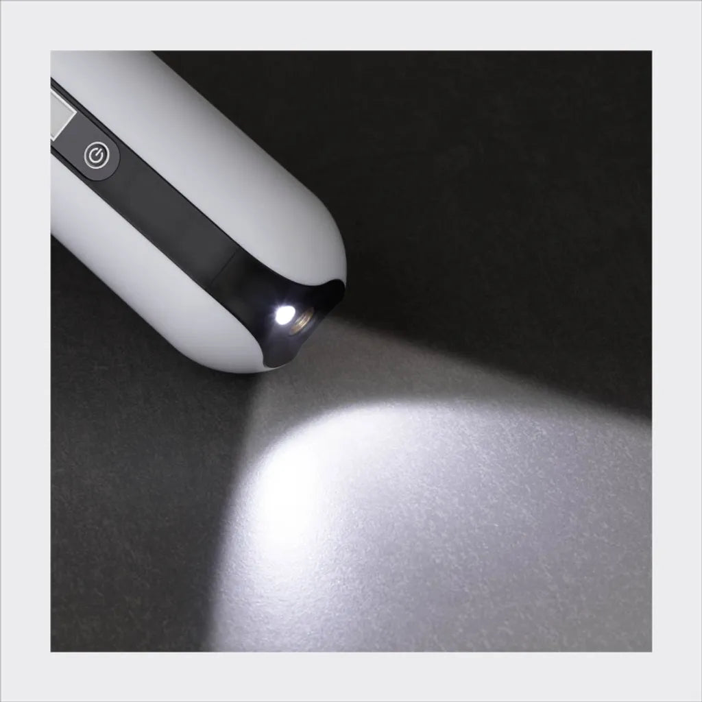  FISCHER Akku-Kompressor Mit Powerbank Und LED-Taschenlampe