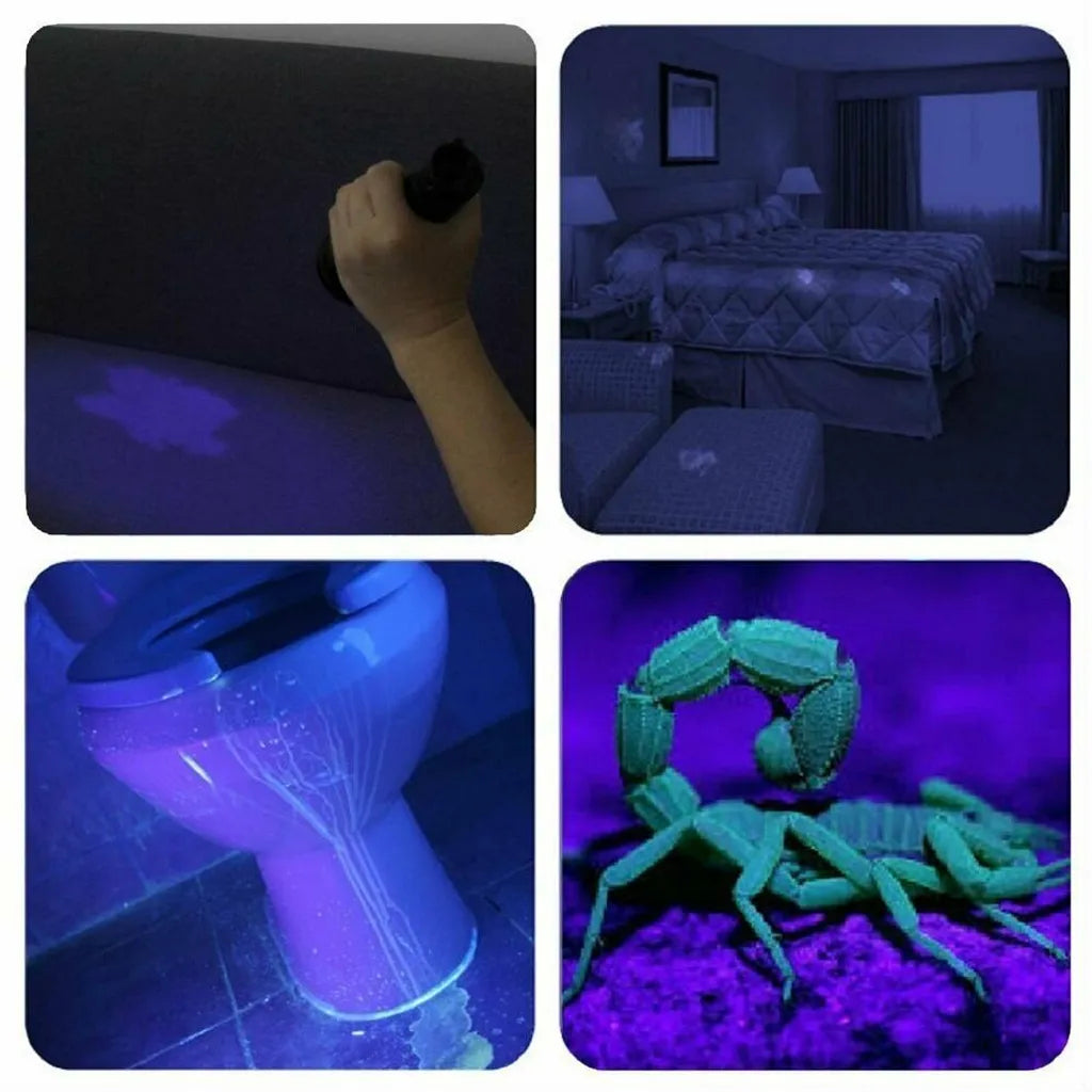  UV Lampe 100 LED Taschenlampe Scorpion Bernstein Schwarzlicht Handlampe UV Taschenlampe