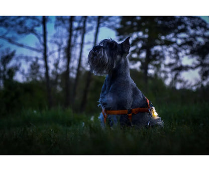  Armytek Zippy Schlüsselbund-Taschenlampe, Gelb