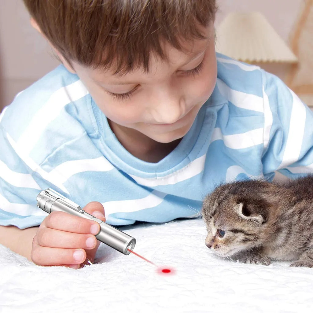  Laserpointer Für Katzen USB Wiederaufladbar, Cat Dog Interactive Lazer Toy, Heimtier-Übungs-Chaser-Tool, 3-Modus,Taschenlampen