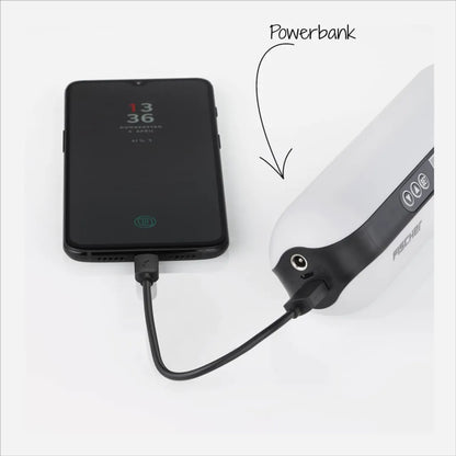  FISCHER Akku-Kompressor Mit Powerbank Und LED-Taschenlampe